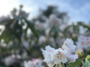 💗 The Nurture~Zone ‘Lift Up Your Mood’