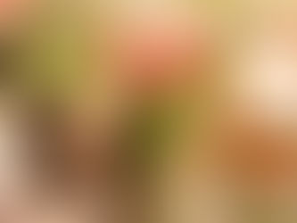 CHRISTMAS WREATH MAKING IN THE COTSWOLDS