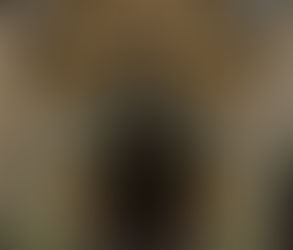 Floral arch in pastel spring flowers over the external doorway into Foxhill Manor in the Cotswolds UK