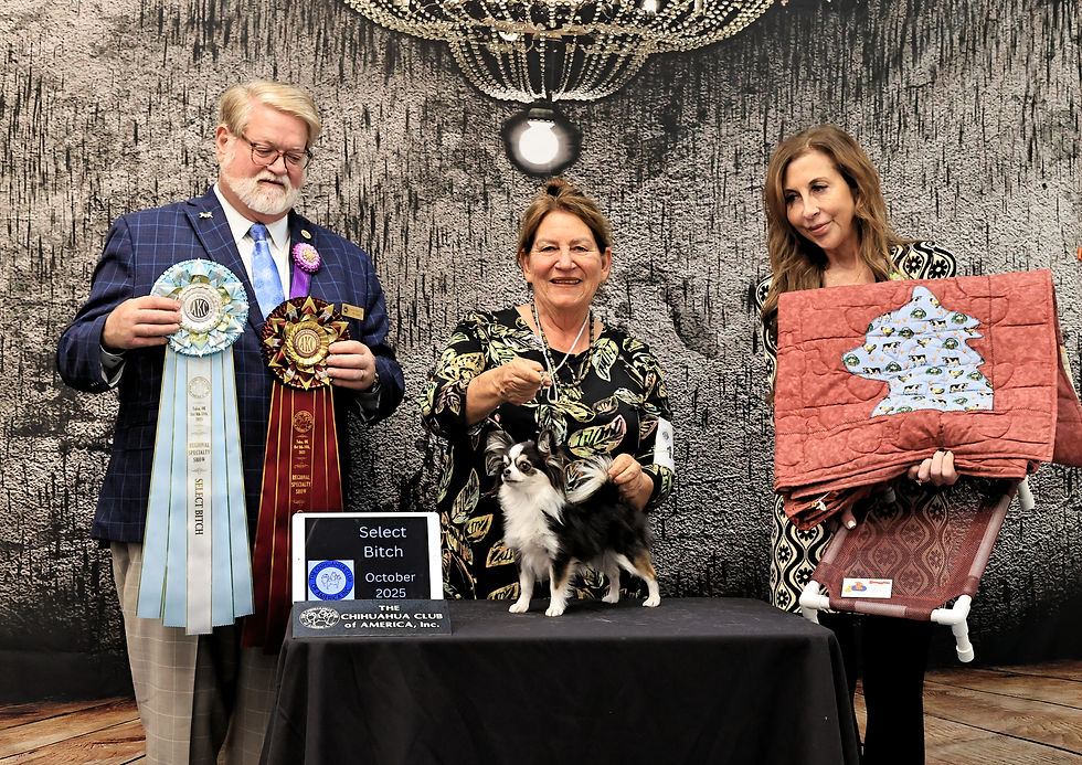 SelectBitch-RegionalLC