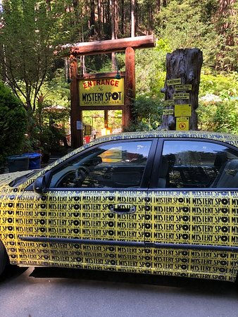 SUNDAY AFTERNOON MYSTERY TOUR