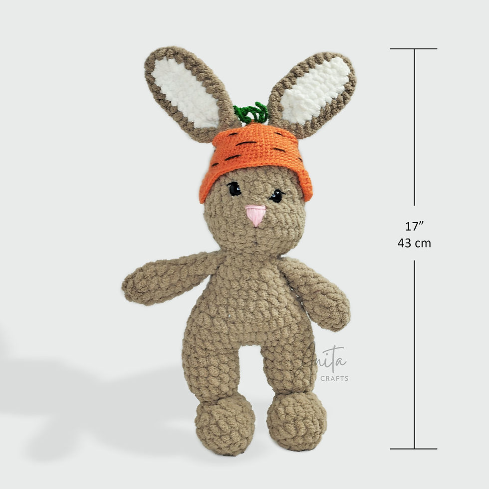 Thumbnail: Bunny with two hats