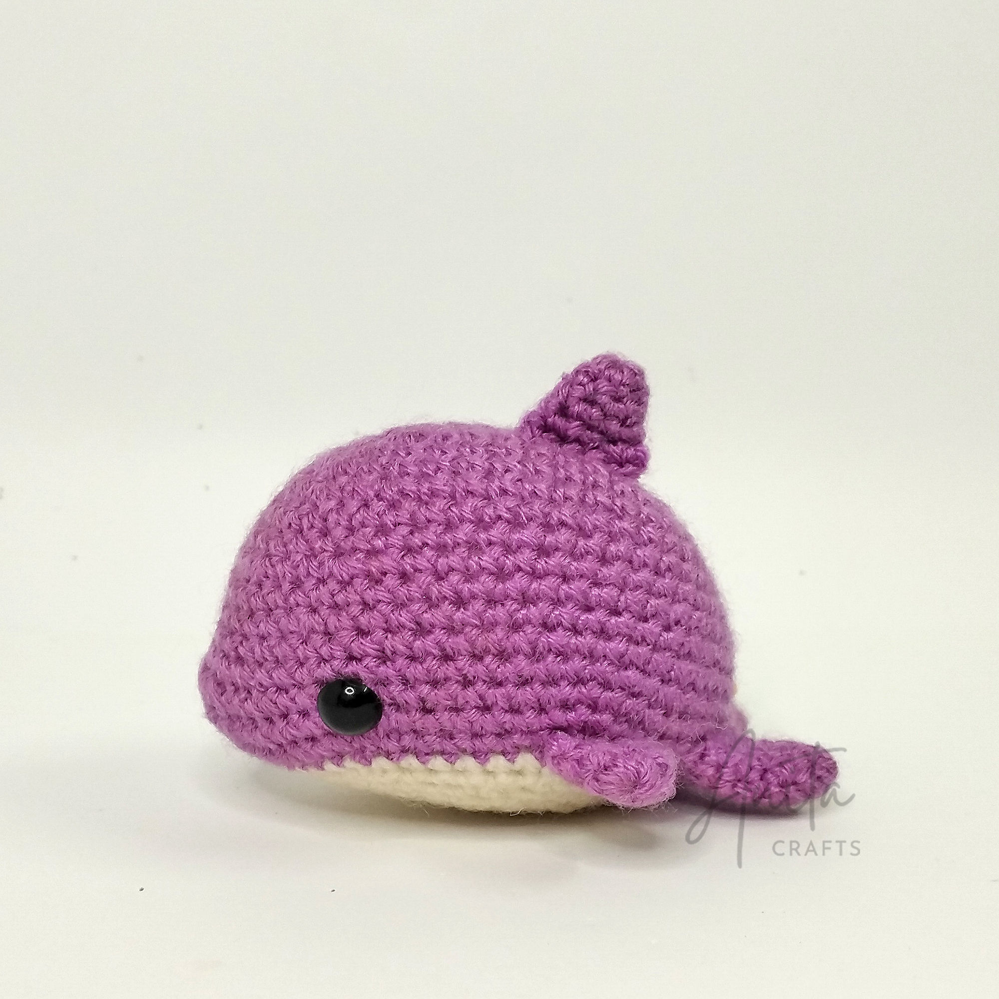 Dolphin 1
