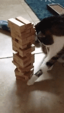 Cat batting at a Jenga tower.