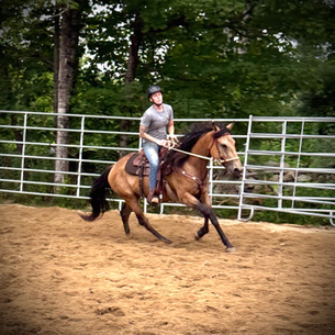 The Mustang Diaries: Penny's First Ride!
