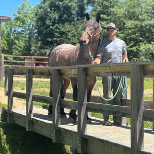 The Mustang Diaries: Pecos June 1-15 Training Update