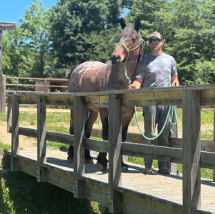 The Mustang Diaries: Pecos June 1-15 Training Update