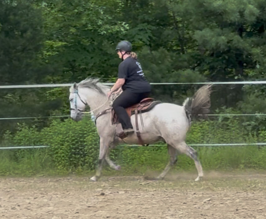 Problem Horses: Bucking Blue