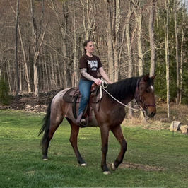 The Mustang Diaries: Buck