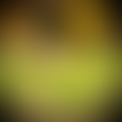 The Mustang Diaries: Axl Regains Some Freedom