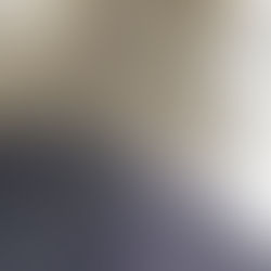 The Mustang Diaries: Kai-Ju Day 55