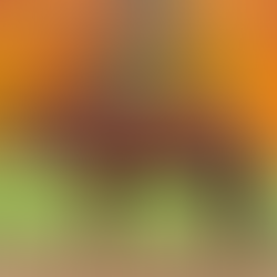 The Mustang Diaries: Oakley Groundwork Update 3 - Session 20ish