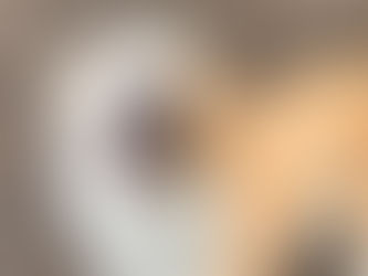 Teaching Your DeafBlind Dog a Marker