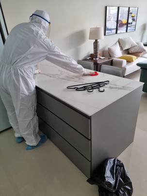 ABANA HAVANA DISINFECTION SERVICE SINGAPORE BEST CHEAPEST DISINFECT RATE