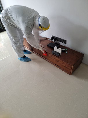 ABANA HAVANA DISINFECTION SERVICE SINGAPORE BEST CHEAPEST DISINFECT RATE
