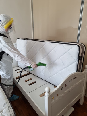 ABANA HAVANA DISINFECTION SERVICE SINGAPORE BEST CHEAPEST DISINFECT RATE