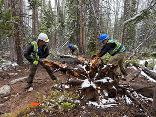 ESWA Sawyers Hard at Work already!