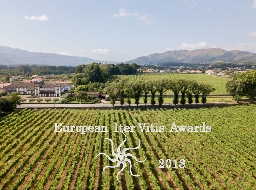Ponte de Lima nomeado para a final do Prémio Iter Vitis Award 2018 | Peneda Gerês TV