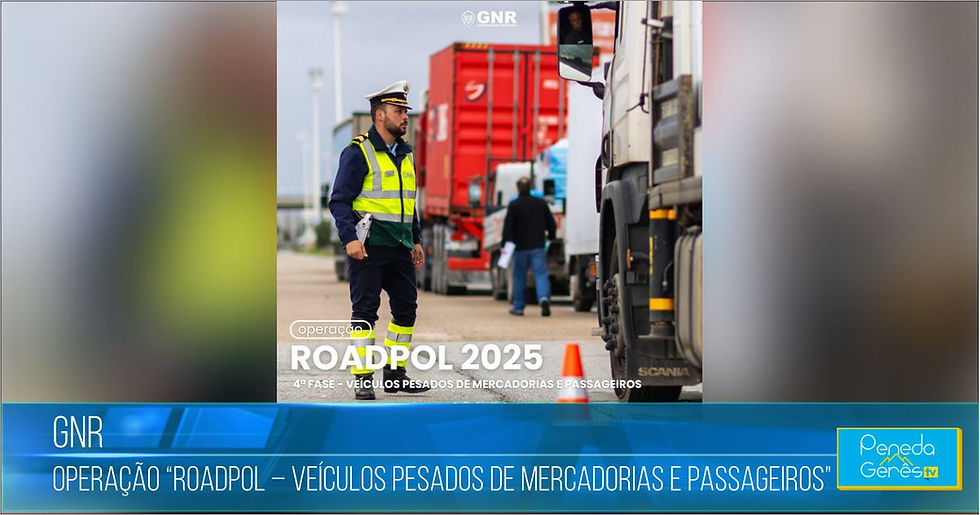 GNR Aperta Fiscalização a Pesados em Operação Nacional