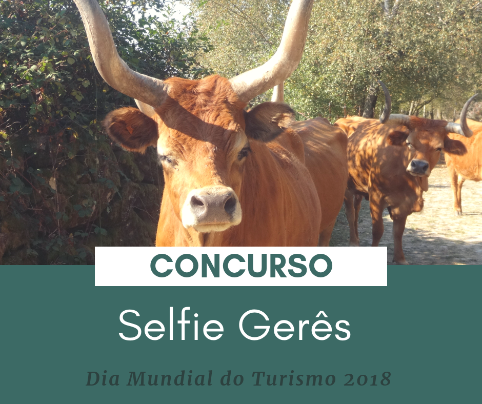 Concurso "SELFIE GERÊS" para celebrar o Dia Mundial do Turismo | Peneda Gerês TV