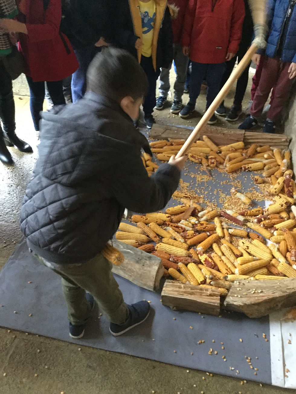 CIT promove malhada à moda antiga ! Peneda Gerês TV