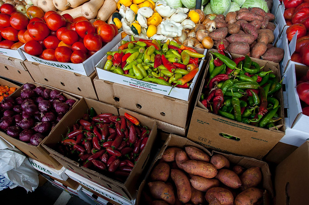 CIM Alto Minho consensualiza autorização de mercados de produtos agrícolas