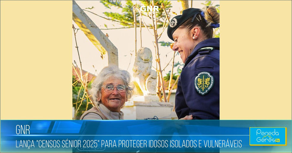 Censos Sénior 2025