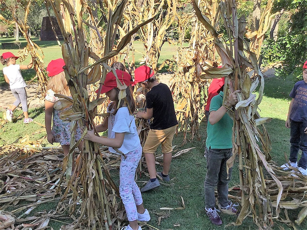 CIT dedica primeira sessão da área projeto ao ciclo do milho | Peneda Gerês TV