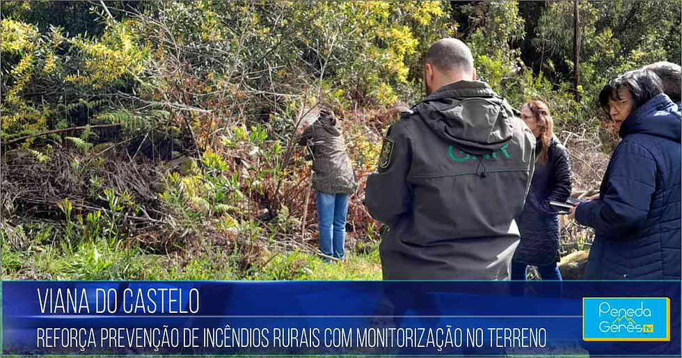 Técnicos monitorizam área florestal em Viana do Castelo. Fundo verde denso. Texto: "Reforça prevenção de incêndios rurais".