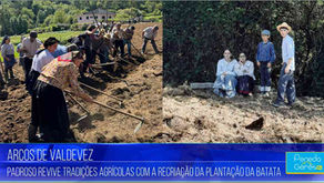 Pessoas em trajes tradicionais trabalhando na lavoura, cenário rural com árvores. Texto: "ARCOS DE VALDEVEZ, Padroso revive tradições com a plantação da batata".