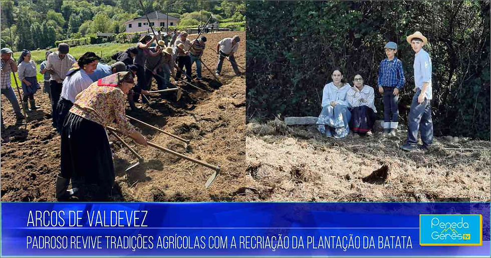 Pessoas em trajes tradicionais trabalhando na lavoura, cenário rural com árvores. Texto: "ARCOS DE VALDEVEZ, Padroso revive tradições com a plantação da batata".