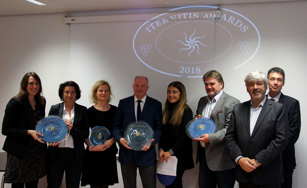 Ponte de Lima vence prémio europeu | Peneda-Gerês TV