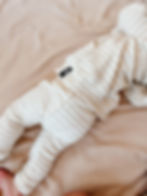 Thumbnail: Cotton Gusset Pant
