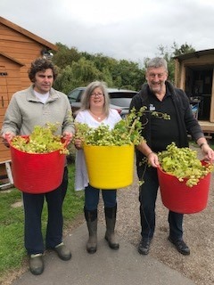 Hop Pickers_edited