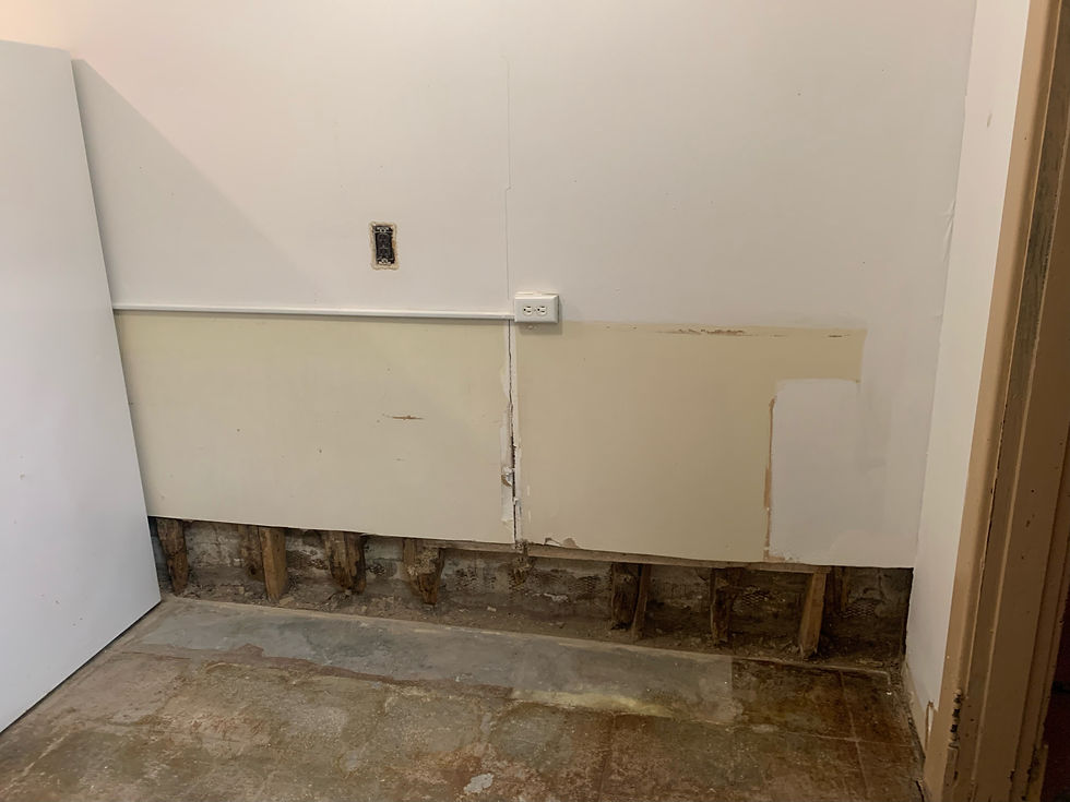 Kitchen Renovation Project