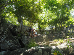 Ascension du chameau