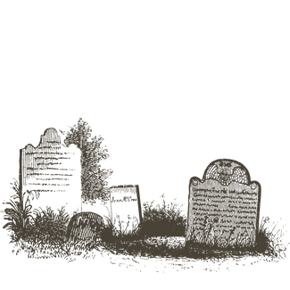 Untitled design (5).png