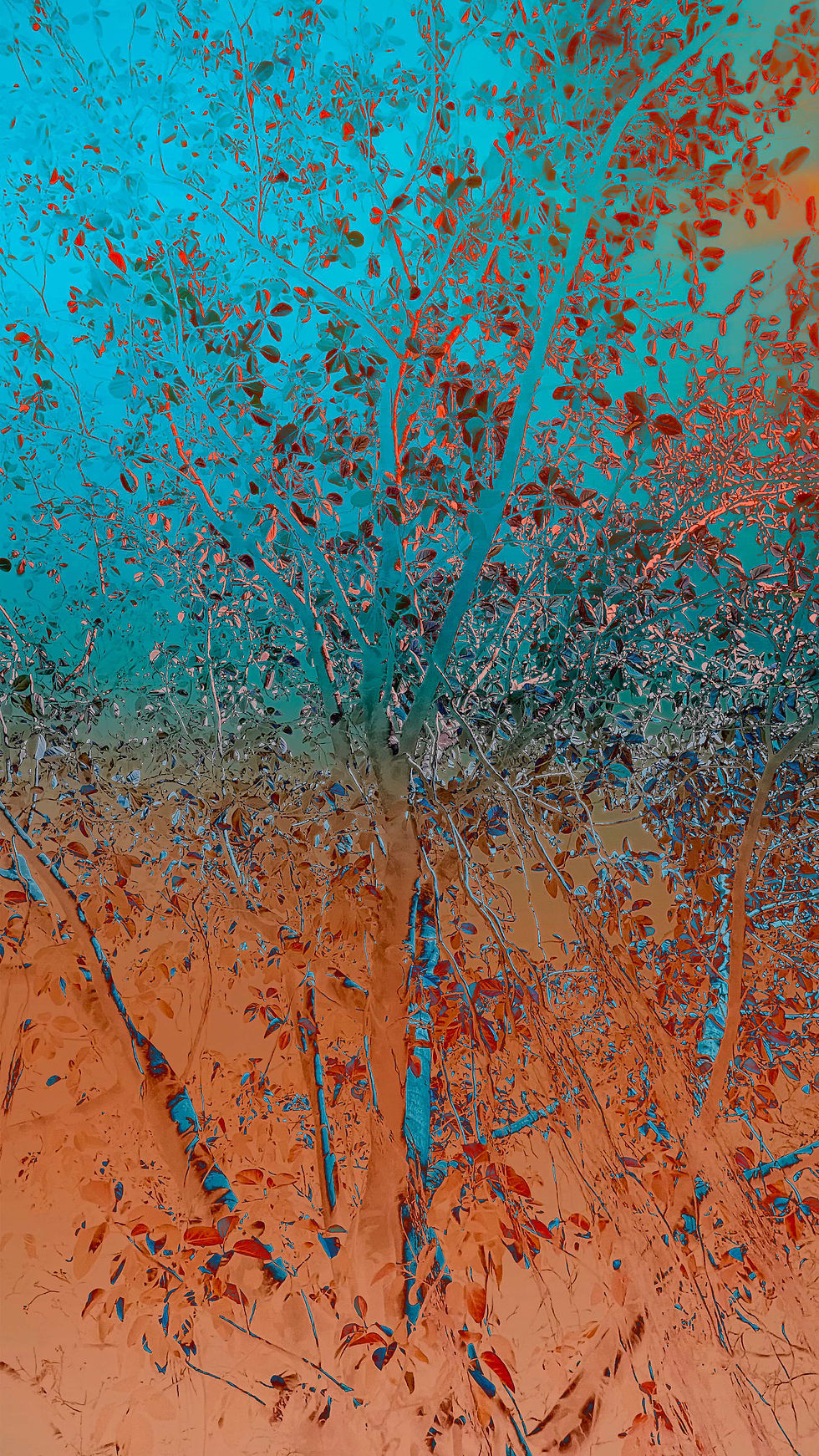 Dreaming tree