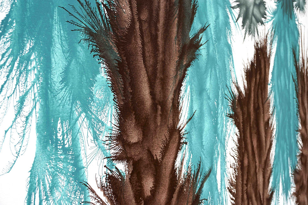 Thumbnail: Exploflora Series No. 75