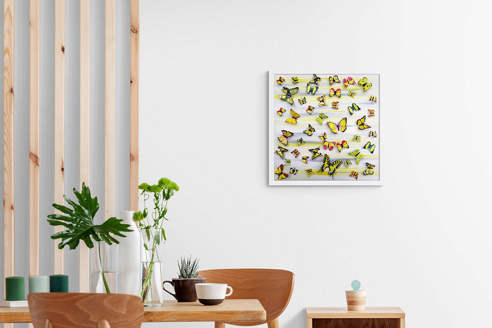 Thumbnail: Butterfly Park 4