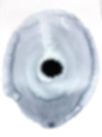 Thumbnail: Dew drops