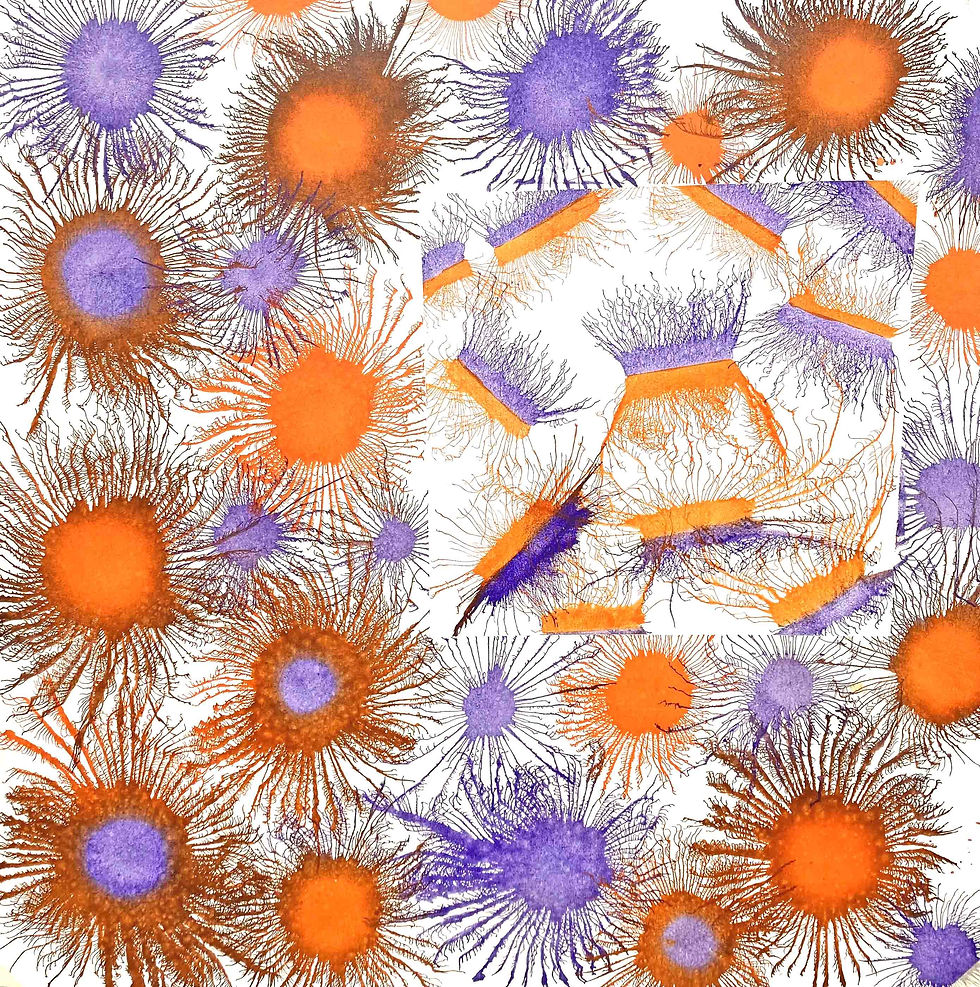 Exploflora Series No.90