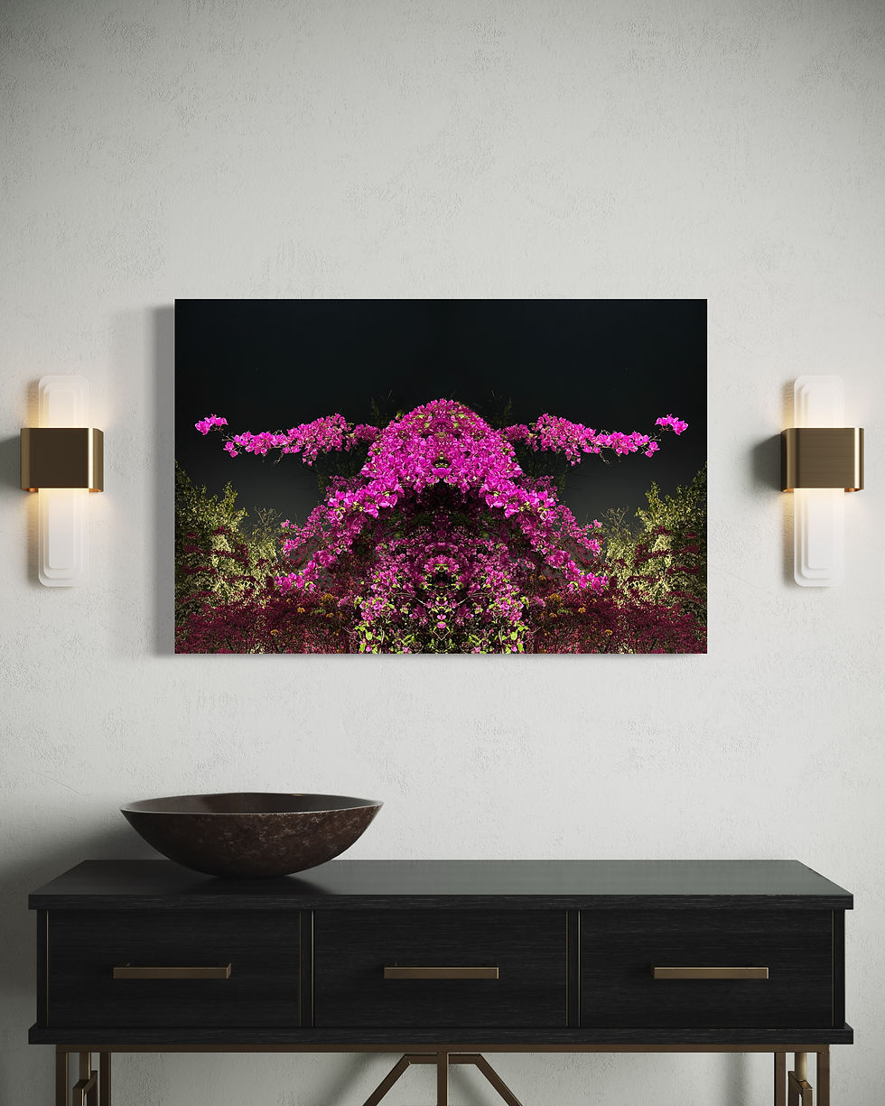 Thumbnail: Bougainvillea