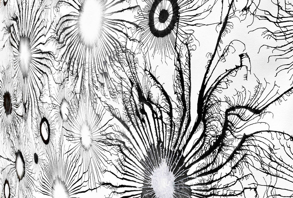 Thumbnail: Exploflora Series No. 94