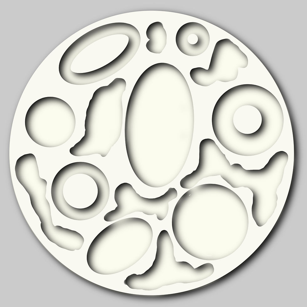 Food Study Hard cheese