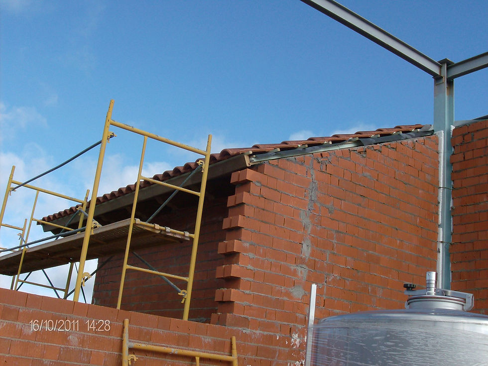 Nueva construcción