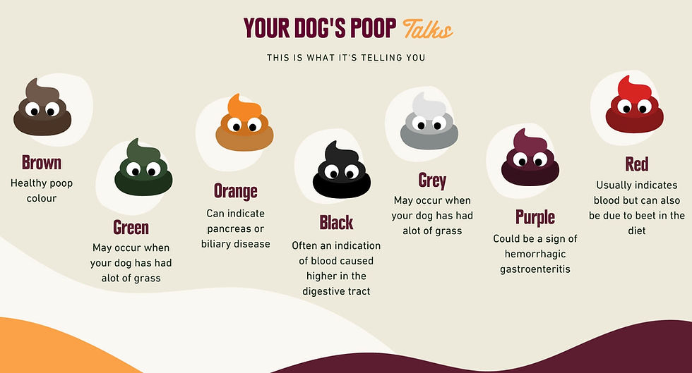 dogpoopchart.jpg