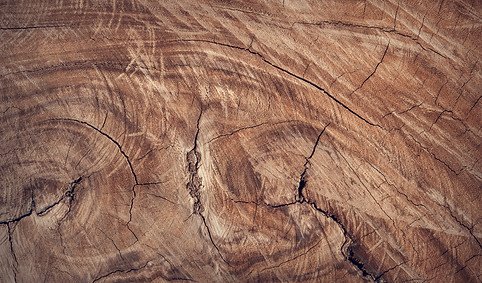 brown-close-up-hd-wallpaper-surface-1722