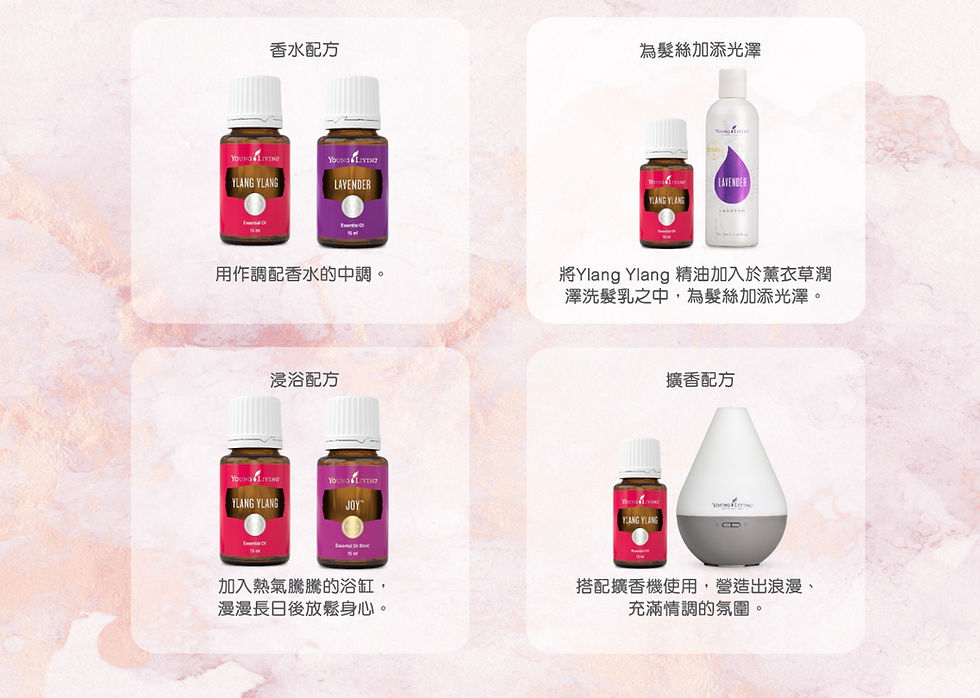 Thumbnail: 依蘭依蘭精油 Ylang Ylang 15毫升