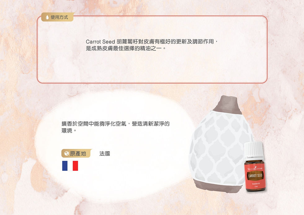 Thumbnail: 胡蘿蔔籽精油 Carrot Seed 5毫升